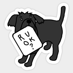 Cute Dog Wants to Know R U OK Sticker